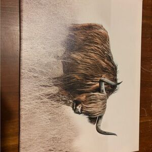Highland Cow Canvas Art